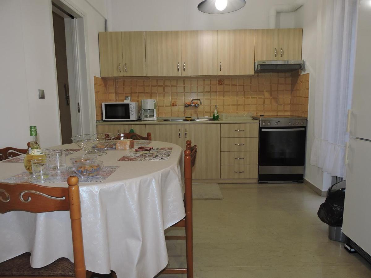 Spiri'S House Διαμέρισμα Καλαμπάκα Εξωτερικό φωτογραφία